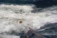 ...more watery stuff on the Lower Mishualli