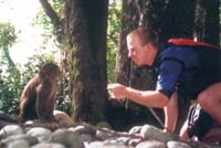 Playing with the locals