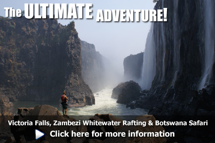 Experience Victoria Falls, Whitewater Rafting on the Zambezi and Wildlife Safari in Botswana, click here for more information